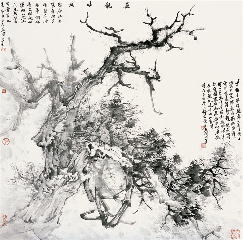 苍龙吐虮50x50 12年.jpg