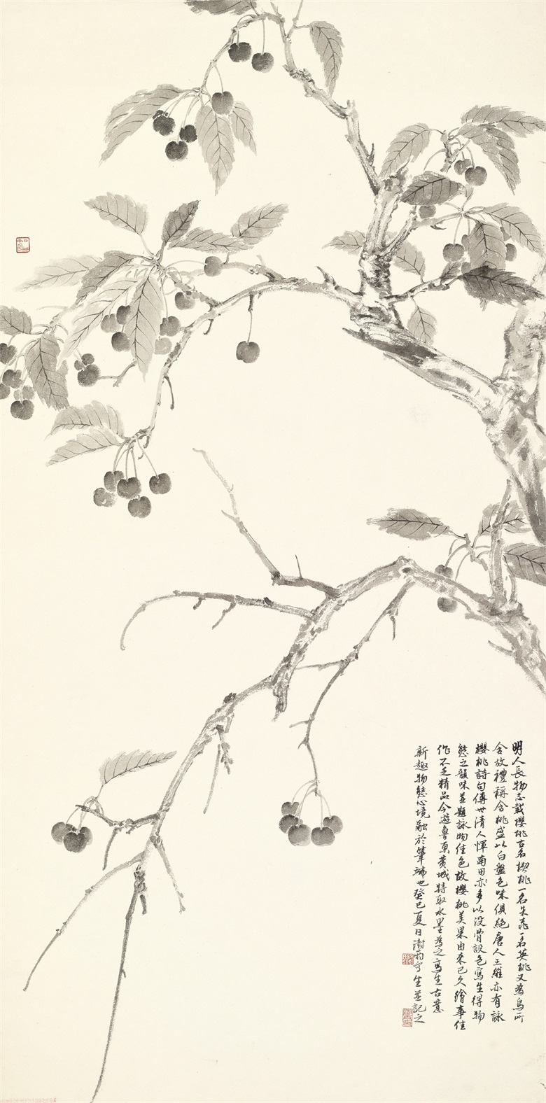 9阴澍雨 樱桃  纸本水墨 130×65cm 2013 .JPG