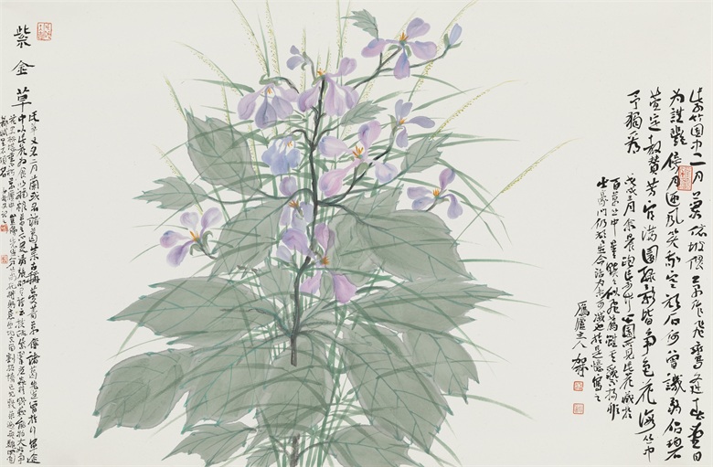 紫金草  43×66cm.jpg