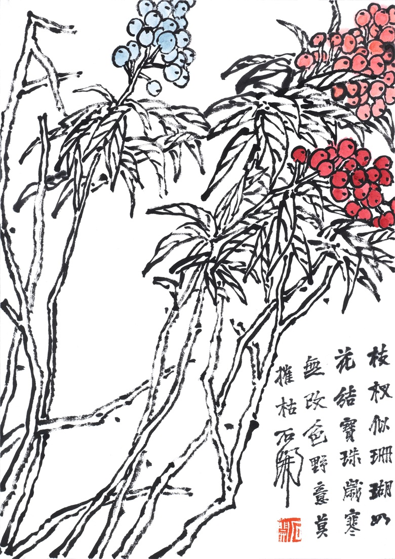 《枝杈似珊瑚》国画 .jpg